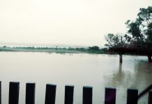 CABIXI: sitiantes estão isolados por causa da chuva; vídeo