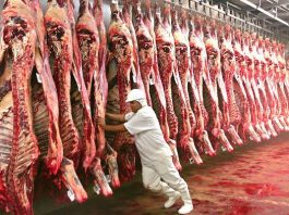 Carne e soja são destaques em volume de exportação; RO é responsável por 212,2 milhões de toneladas