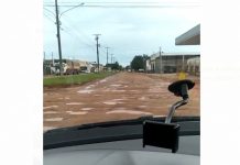 Internauta posta vídeo nas redes sociais indignado com abandono que está Cerejeiras