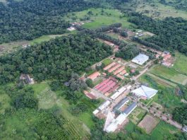 Ifro de Colorado está com processo seletivo aberto para contratação de professores substitutos