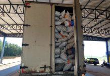 PRF constata irregularidade em transporte de carga de carvão em Vilhena