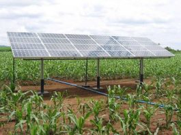Cresce uso de energia solar no campo
