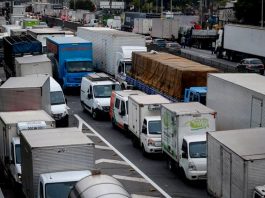 Grupos de caminhoneiros decidem por paralisação no dia 29, diz líder