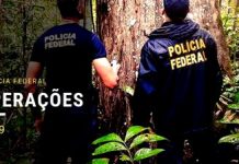 PF deflagra operação contra desmatamento ilegal na floresta amazônica