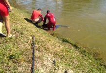 Rapaz recusa ajuda e morre afogado em tanque de peixes; tatuagens podem ajudar a identificar vítima
