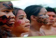 “OPINIÃO DE PRIMEIRA”: quem defende de verdade os índios brasileiros? toda a grana da saúde indígena está chegando nas aldeias?