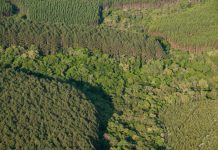 Governo publica medida provisória que acaba com data limite do CAR