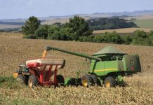 Plano Safra traz novas opções de financiamento para produtores rurais