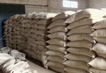 Estoques privados de café sobem 31% em 2019 e superam 12 milhões de sacas