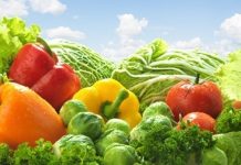 Mesmo com alta dos custos, produtor de hortaliças pode ficar no azul em 2019