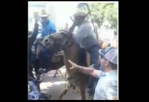 Vídeos mostram detalhes do desentendimento entre policiais e membros da comitiva da cavalgada em Vilhena