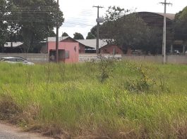 Moradores reclamam do mau cheiro e mato em quadra de frente escola no bairro Bodanese