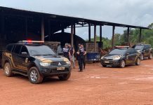 Polícia Federal incinera mais de 283 quilos de drogas em RO