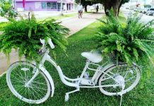 Denúncia leva Semma a retirar bicicleta que enfeitava canteiro central e comerciantes mostram indignação