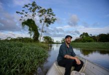 Projeto brasileiro para salvar o pirarucu é premiado nos EUA