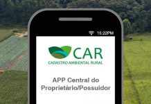 Serviço florestal lança aplicativo para acessar dados de cadastro ambiental rural