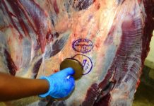 Carne desossada de bovino garante 30% da exportação de Rondônia no primeiro semestre de 2019