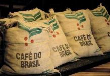 Cafés do Brasil correspondem a 21% das importações da União Europeia e 29% dos EUA