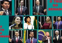 “OPINIÃO DE PRIMEIRA”: Marcos Rogério no senado e Léo Moraes na Câmara, os destaques da nossa bancada federal nesse semestre