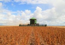 Valor da produção agropecuária deve atingir R$ 603,4 bilhões em 2019