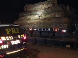 PRF flagra transporte ilegal de 15 m³ de madeira em Monte Negro