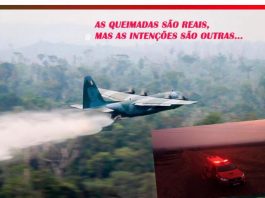 “OPINIÃO DE PRIMEIRA” eles querem manter o domínio sobre nossa floresta e nossas riquezas, mas esse tempo está chegando ao fim!