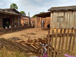 Ao ser preso, suspeito confessa que matou irmão com facada no peito e enterrou corpo em fossa