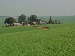 Proprietários de terras devem ficar atentos às mudanças que a Receita Federal adotou para o cálculo do ITR
