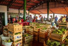 Pequenos agricultores recebem apoio para comercialização da produção em RO