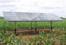 Energia solar poderá ser adquirida por produtores através de crédito