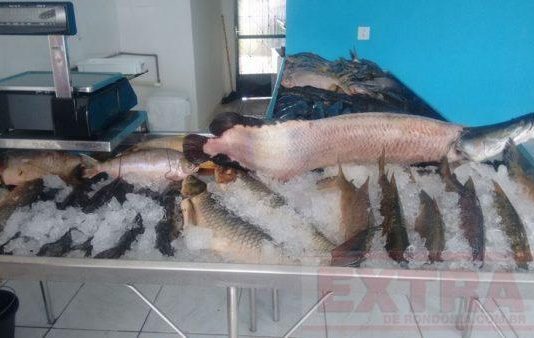 Comerciante perde 150 kg de peixe com queda de energia e registra boletim contra Energisa