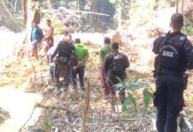 Durante operação, PF prende oito suspeitos de exploração ilegal de recursos naturais em RO, AM e MT