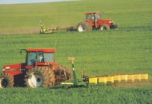 Número de trabalhadores no agronegócio cresce no segundo trimestre