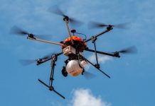 Brasil é líder mundial em tecnologias de controle biológico