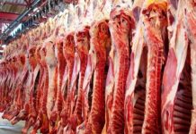 Embarque de carne bovina segue intenso, informa dados do Cepea