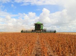 Valor bruto da produção agropecuária de 2019 sobe para R$ 606,2 bi, apontam dados do Mapa