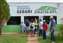 Seagri e Emater promovem “Tarde do Conhecimento” para autoridades e produtores do Cone Sul