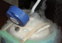 Usina de nitrogênio de RO será recuperada e voltará a produzir em 2020