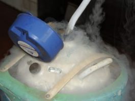 Usina de nitrogênio de RO será recuperada e voltará a produzir em 2020