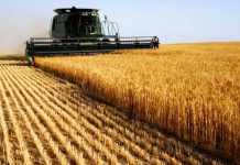 Vendas externas do agronegócio somam mais de US$ 8 bilhões em novembro