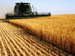 Vendas externas do agronegócio somam mais de US$ 8 bilhões em novembro