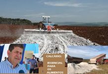 OPINIÃO DE PRIMEIRA: mais valorização, menos burocracia, empreendedores têm receita para fazer Estado e País crescerem