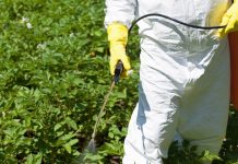 TRF derruba decisão liminar que suspendia registro de 63 agrotóxicos