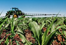 Mapa assina contrato com o BID para destinar US$ 200 milhões para a defesa agropecuária