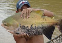 Banco da Amazônia prevê investimentos acima de R$ 2 bi para desenvolvimento de RO