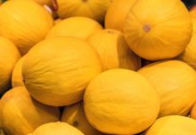 China autoriza importação de melão do Brasil