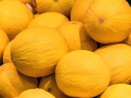 China autoriza importação de melão do Brasil