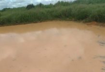 Criança de 5 anos morre afogada em banhado de Machadinho