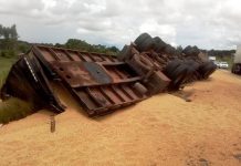 BR 364: carreta tomba e esparrama soja as margens da rodovia próximo a Vilhena