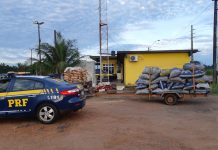 PRF apreende 865 quilos de carvão e três espingardas durante fiscalização em RO e AM